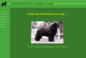 La Pierre aux Coqs